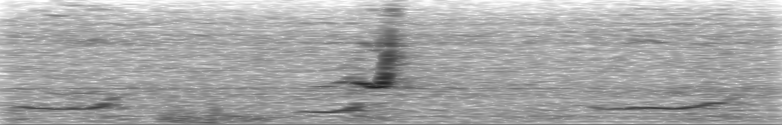 [Loading Spectrogram]