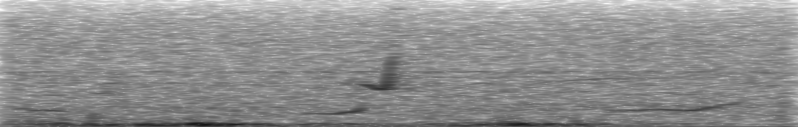 [Loading Spectrogram]