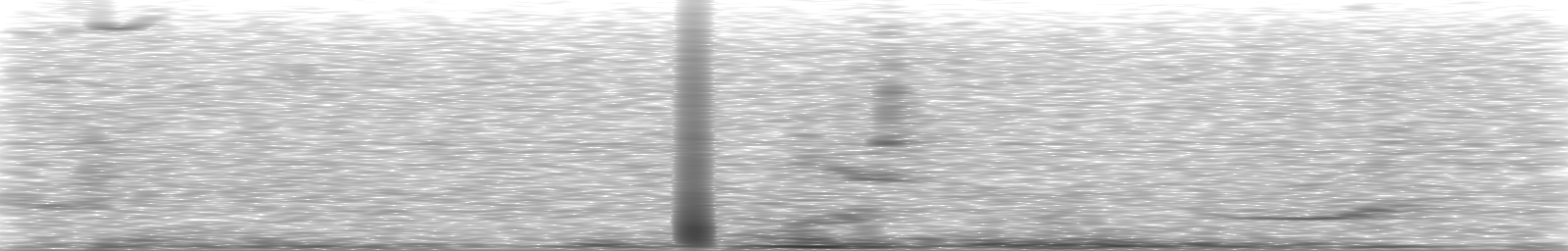 [Loading Spectrogram]