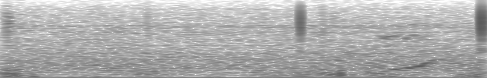 [Loading Spectrogram]