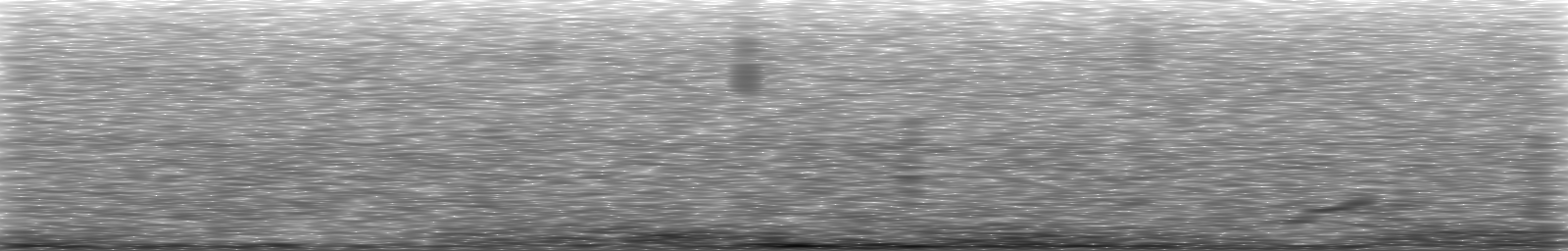 [Loading Spectrogram]