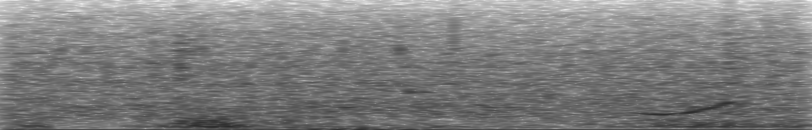 [Loading Spectrogram]