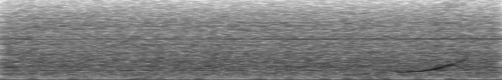 [Loading Spectrogram]