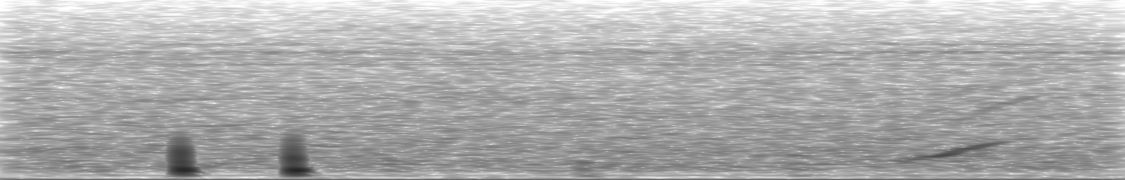 [Loading Spectrogram]