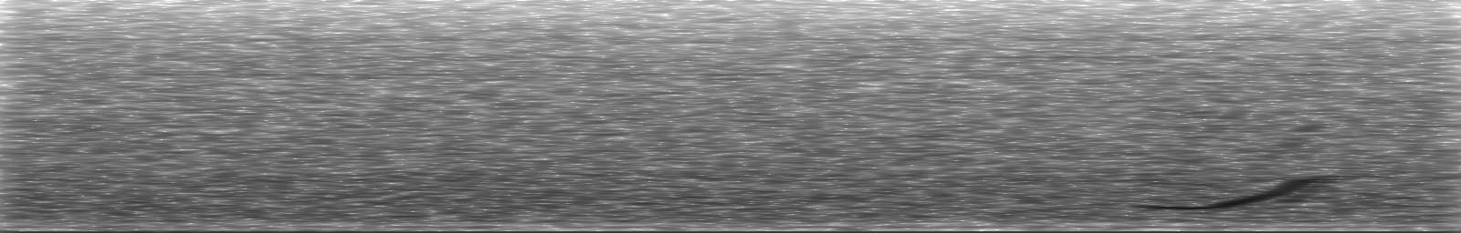 [Loading Spectrogram]