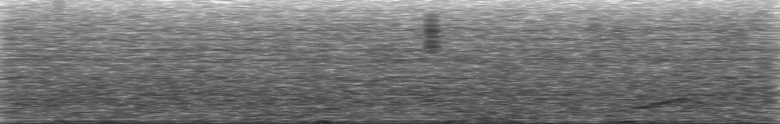 [Loading Spectrogram]