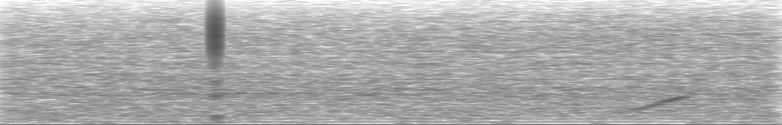 [Loading Spectrogram]