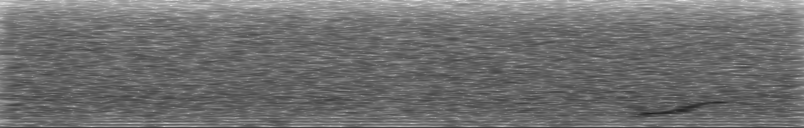 [Loading Spectrogram]