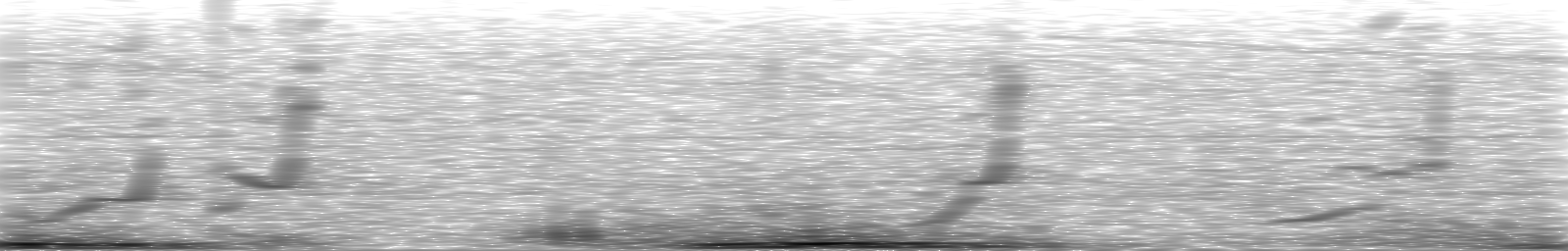 [Loading Spectrogram]