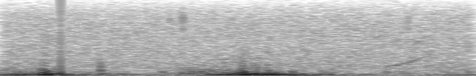 [Loading Spectrogram]