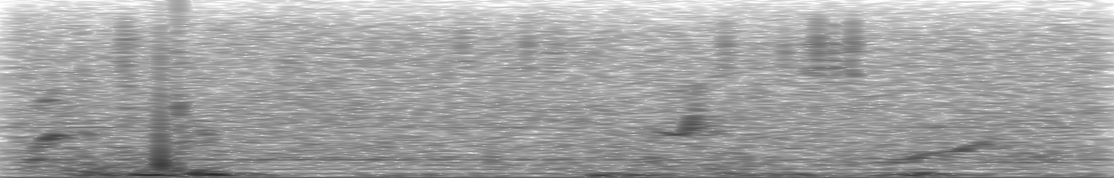 [Loading Spectrogram]