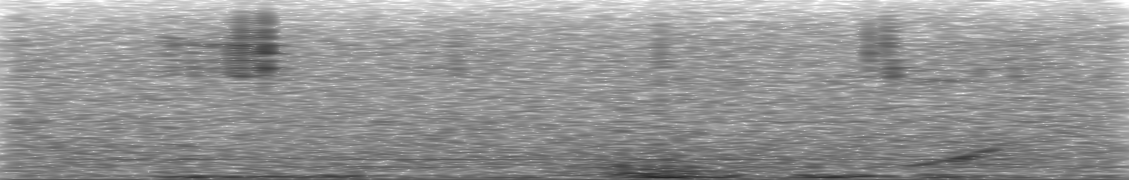 [Loading Spectrogram]