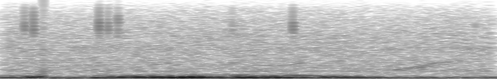 [Loading Spectrogram]