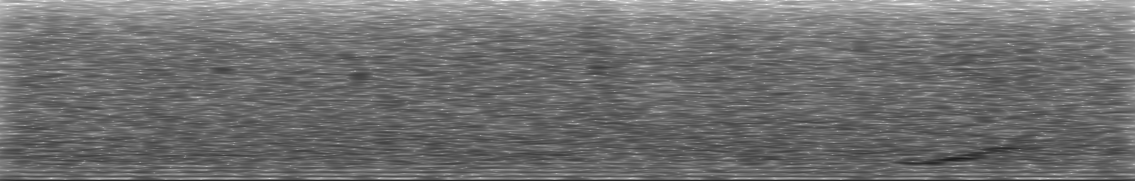 [Loading Spectrogram]