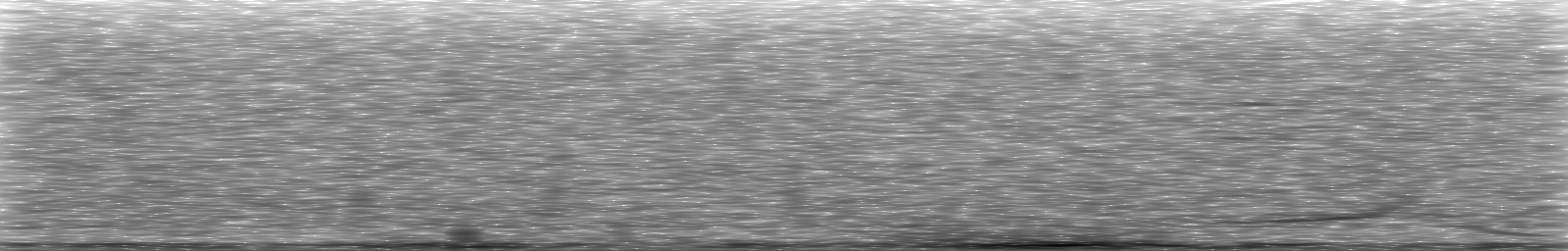 [Loading Spectrogram]