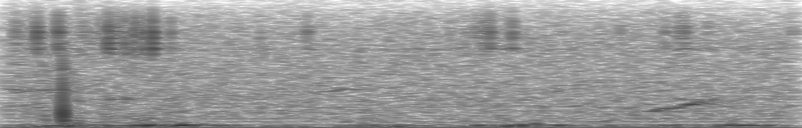 [Loading Spectrogram]