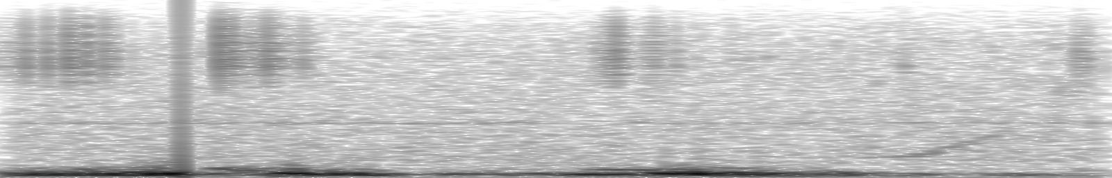 [Loading Spectrogram]