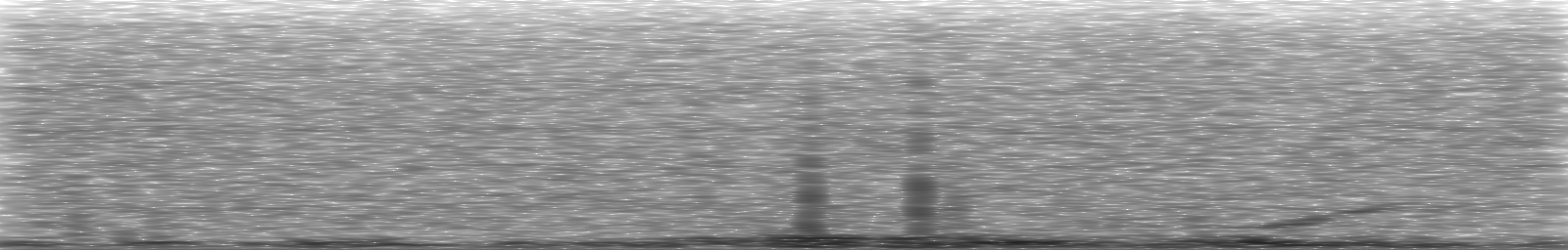 [Loading Spectrogram]