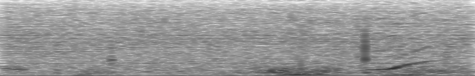 [Loading Spectrogram]