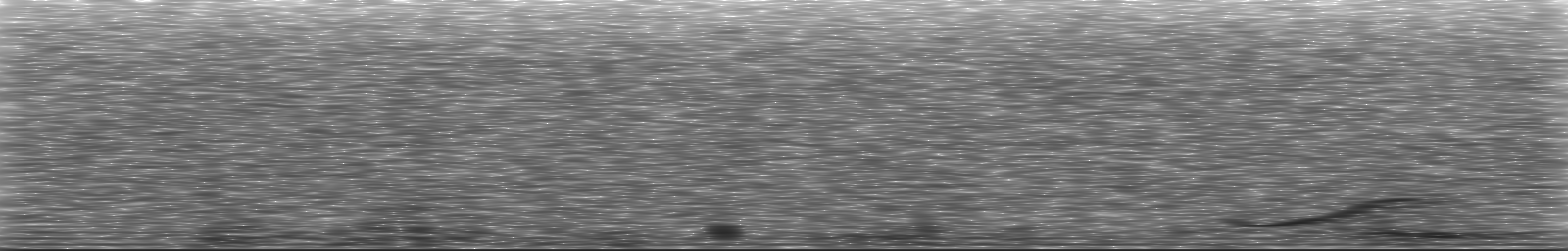 [Loading Spectrogram]