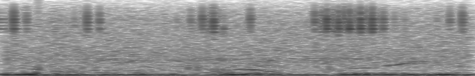 [Loading Spectrogram]