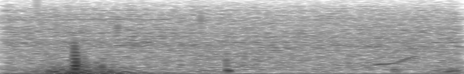 [Loading Spectrogram]