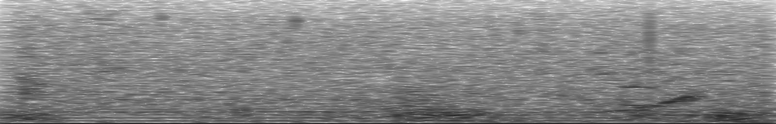 [Loading Spectrogram]