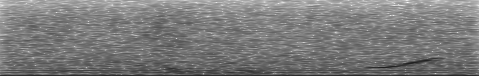 [Loading Spectrogram]