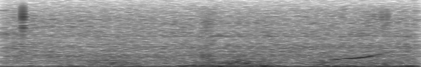 [Loading Spectrogram]