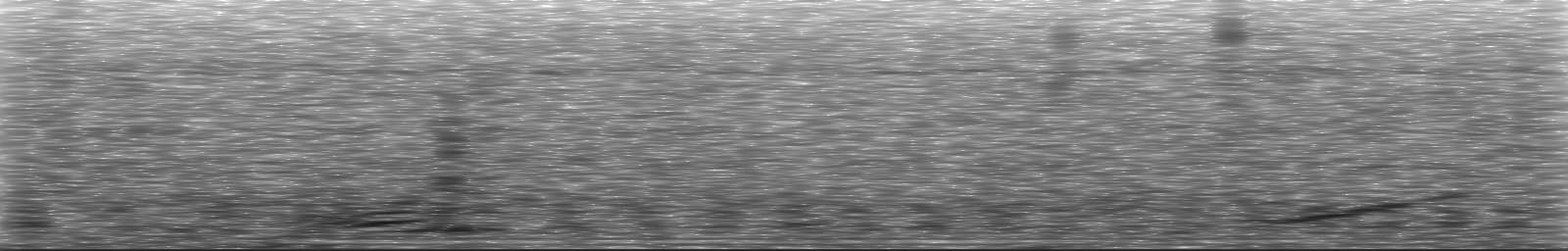 [Loading Spectrogram]