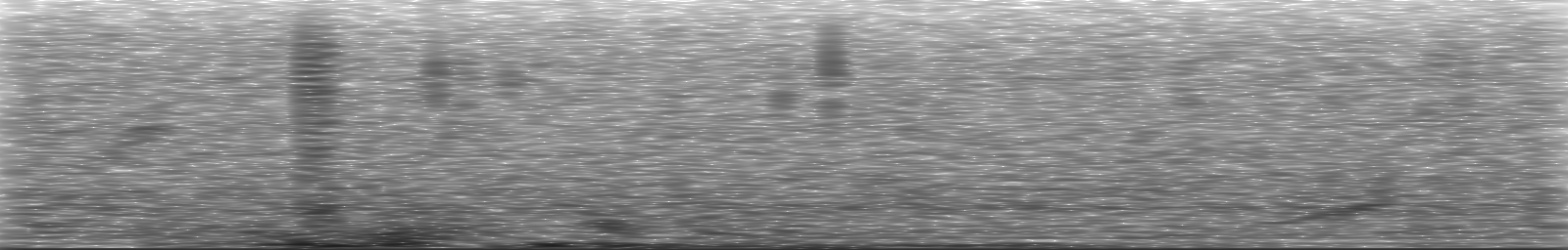 [Loading Spectrogram]