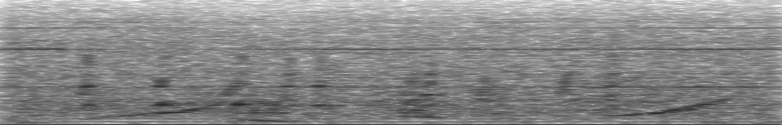 [Loading Spectrogram]