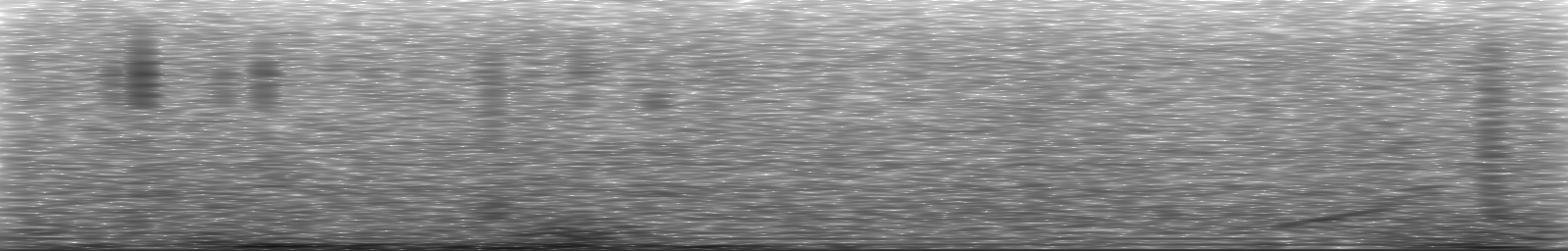 [Loading Spectrogram]