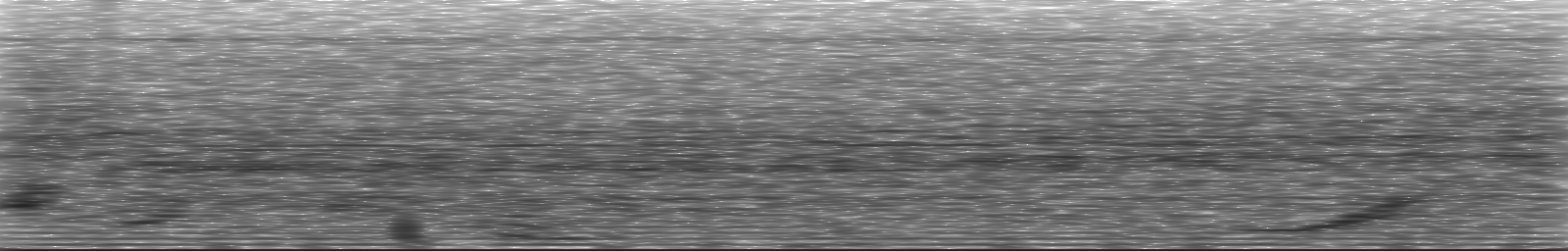 [Loading Spectrogram]