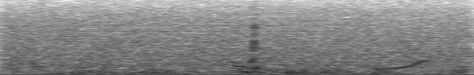 [Loading Spectrogram]