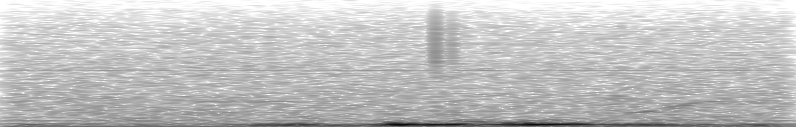 [Loading Spectrogram]