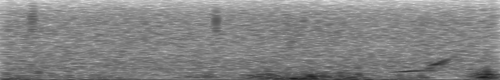 [Loading Spectrogram]