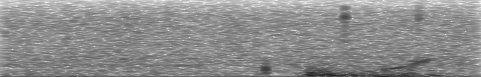 [Loading Spectrogram]