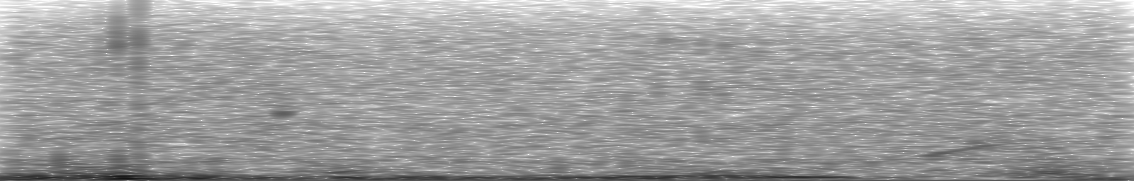 [Loading Spectrogram]