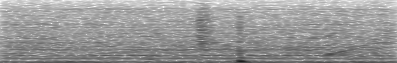 [Loading Spectrogram]