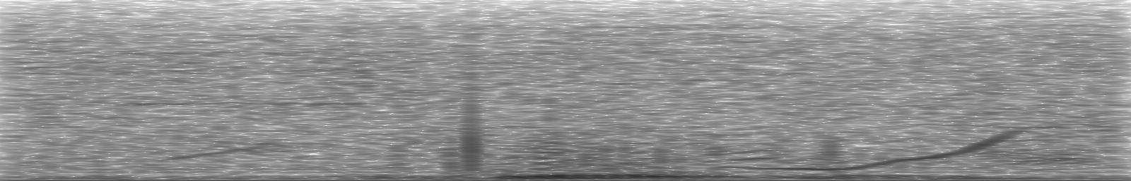 [Loading Spectrogram]