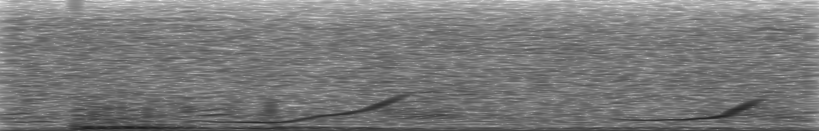 [Loading Spectrogram]