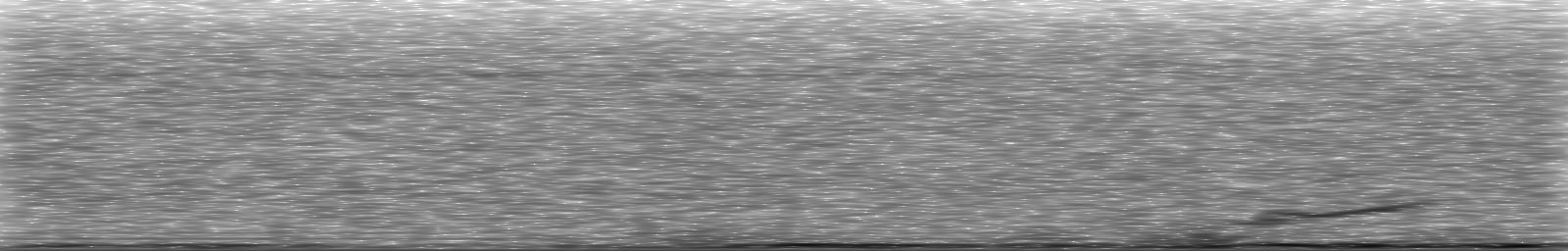 [Loading Spectrogram]