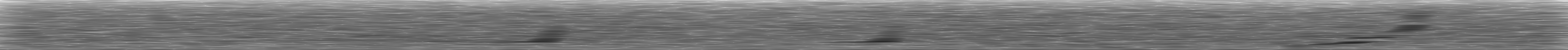 [Loading Spectrogram]