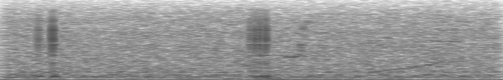 [Loading Spectrogram]