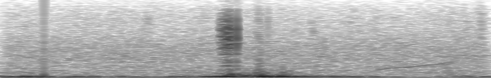 [Loading Spectrogram]