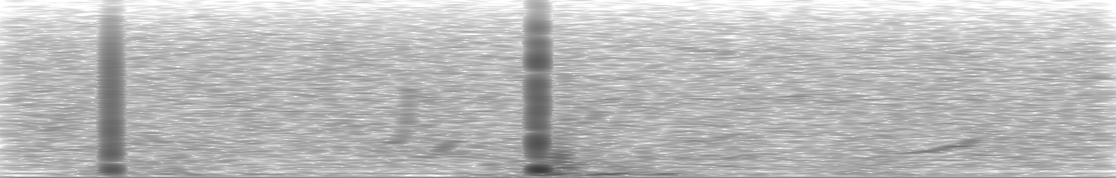 [Loading Spectrogram]