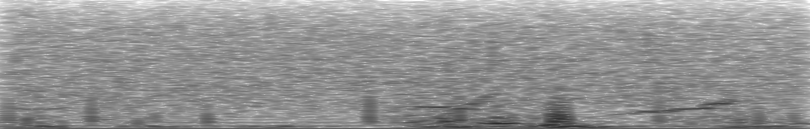 [Loading Spectrogram]