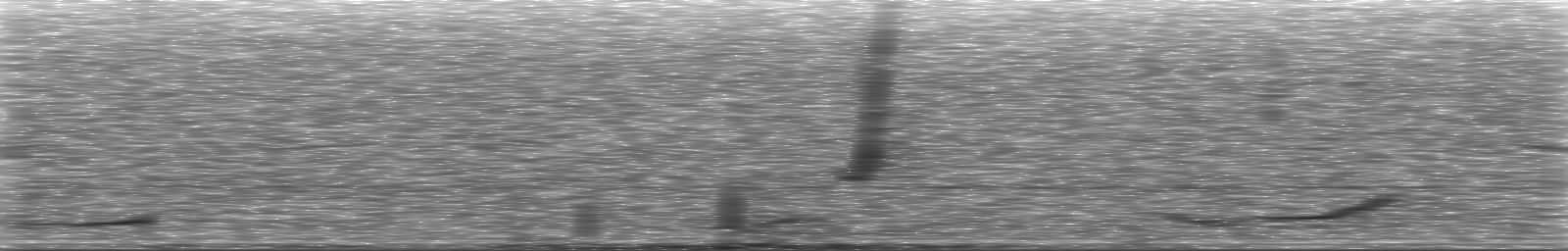 [Loading Spectrogram]