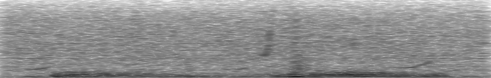 [Loading Spectrogram]